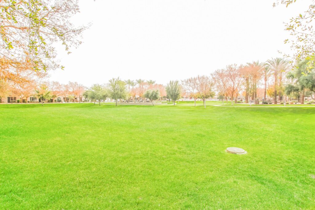 Higley Park