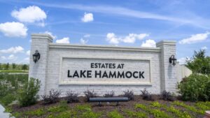 Estates at Lake Hammock