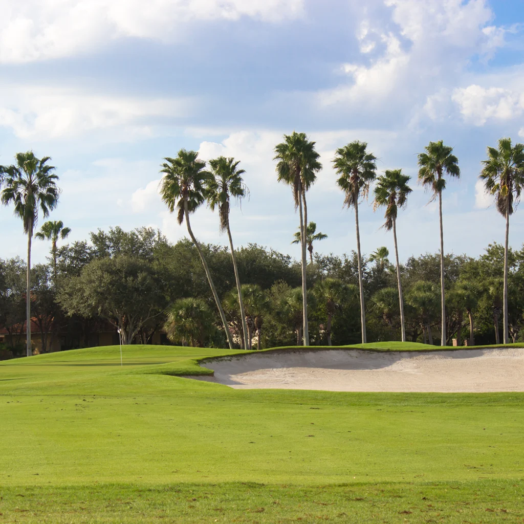 Estates at Lake Hammock
