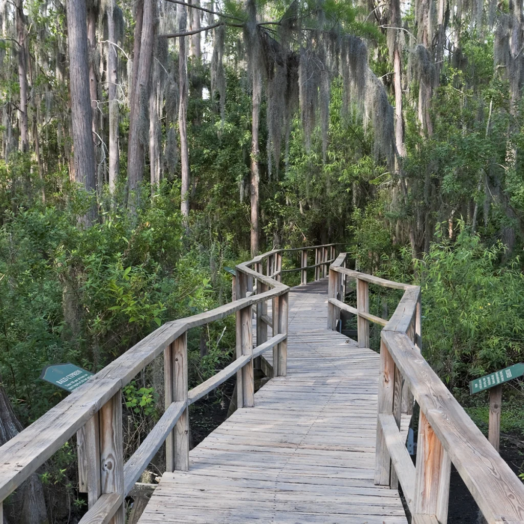 Hawthorne Meadows
