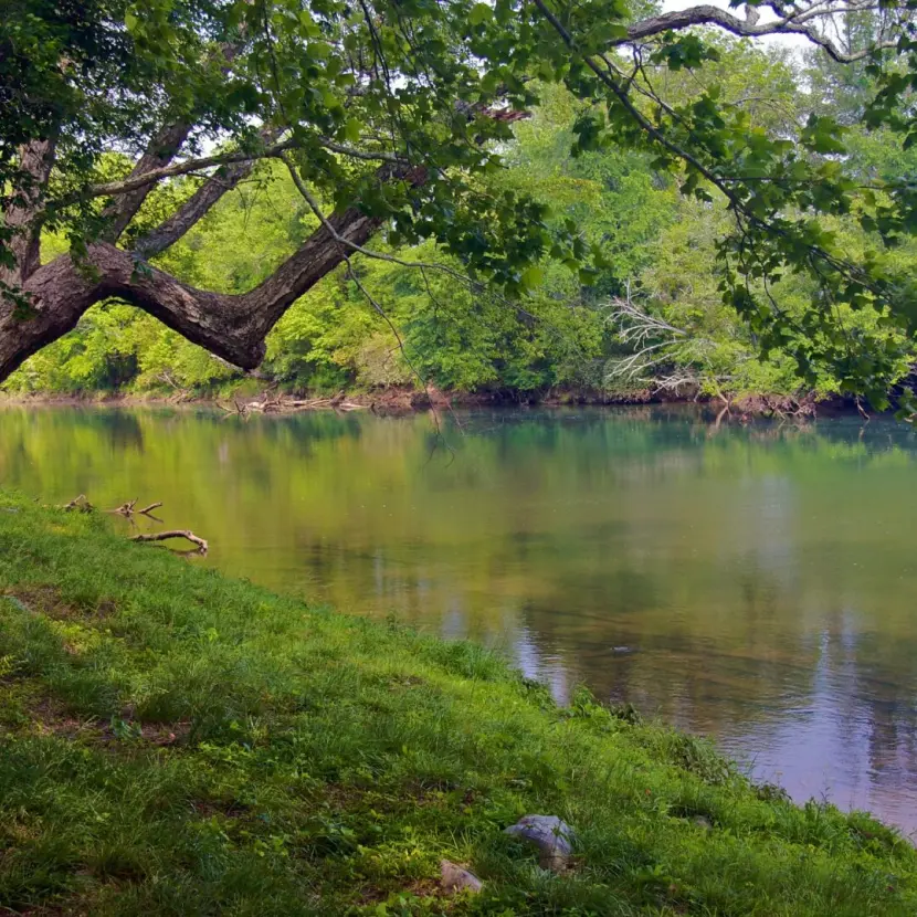 Moss Pointe