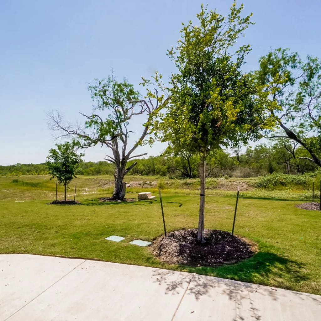 Southton Meadows