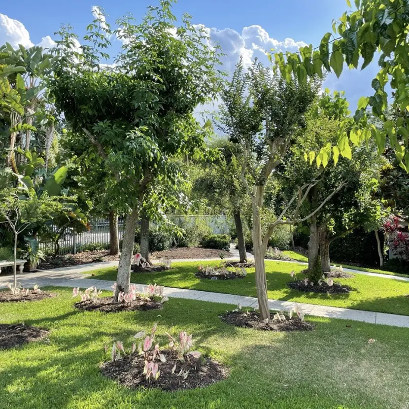 The Enclave at Twin Rivers