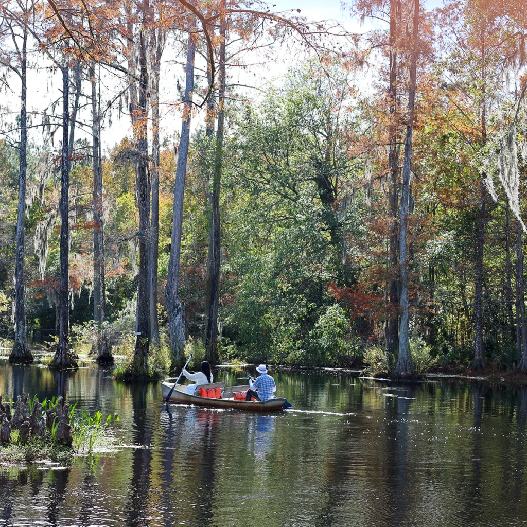 The Grove at Wendell