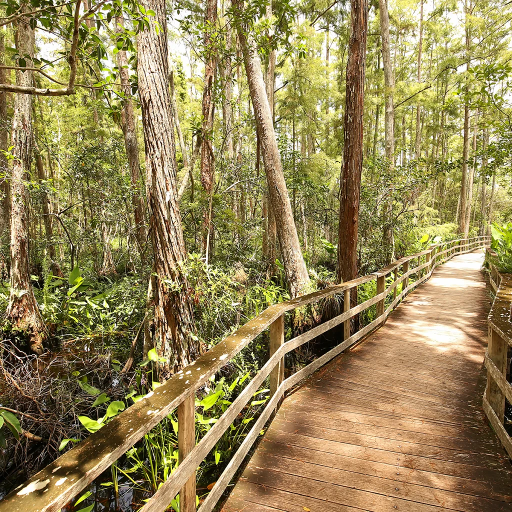 Tillman Lakes